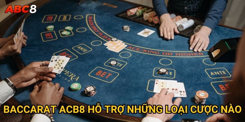 Baccarat ACB8 hỗ trợ những loại cược nào?