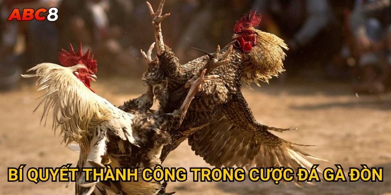 Bí quyết thành công trong cược đá gà đòn