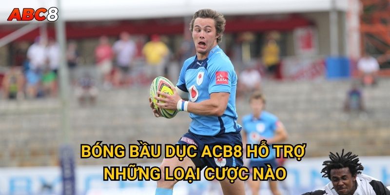 Cá cược bóng bầu dục tại ACB8 có gì đặc biệt? 2 Bóng bầu dục ACB8 hỗ trợ những loại cược nào?