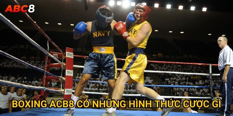 Cá cược boxing ACB8 mang lại cơ hội thắng lớn không? 2 Boxing ACB8 có những hình thức cược gì?