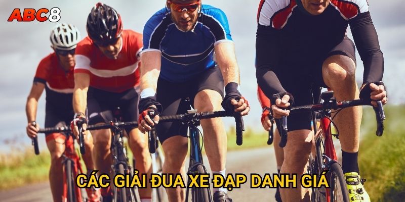 Các giải đua xe đạp danh giá