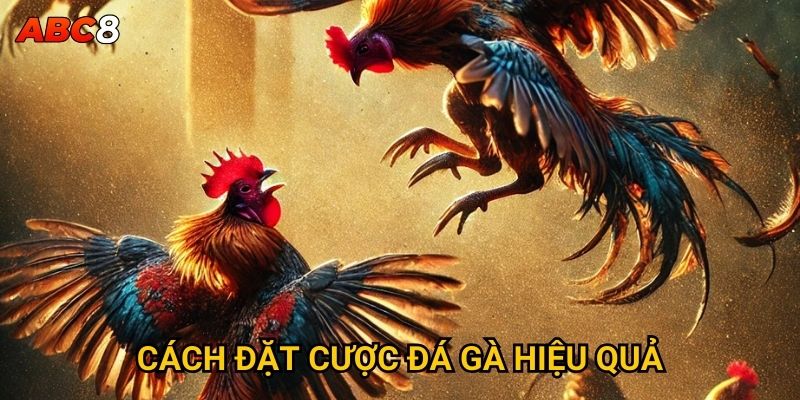 Cách đặt cược đá gà hiệu quả