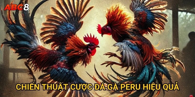 Chiến thuật cược đá gà Peru hiệu quả