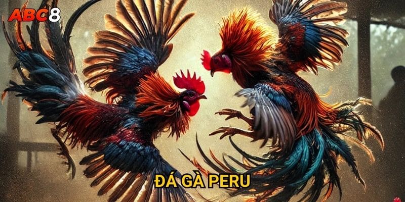 Tại sao đá gà Peru lại thu hút đông đảo người chơi ACB8? 1 Đá Gà Peru