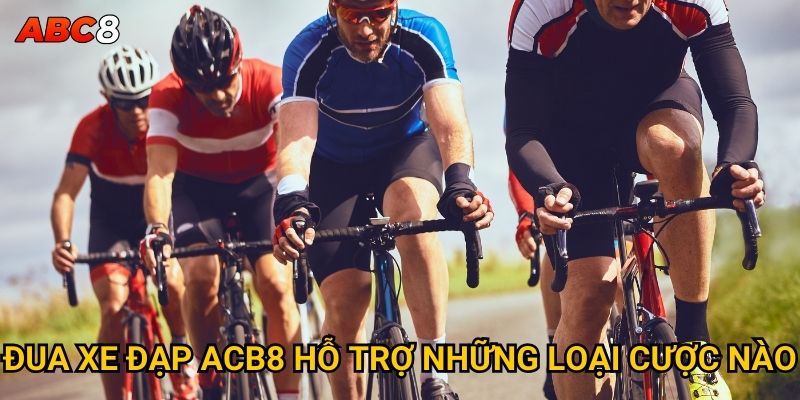 Đua xe đạp ACB8 hỗ trợ những loại cược nào?