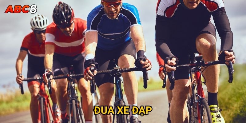 Tại sao cá cược đua xe đạp ACB8 ngày càng phổ biến? 4 Đua xe đạp