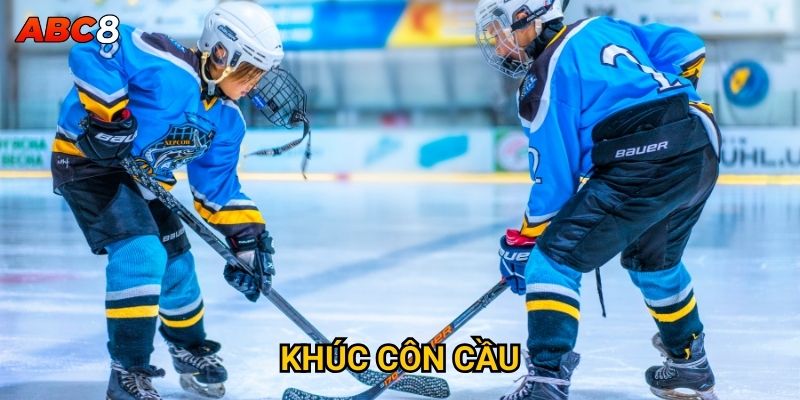 Cá cược khúc côn cầu tại ACB8 có những ưu điểm gì? 1 Khúc côn cầu