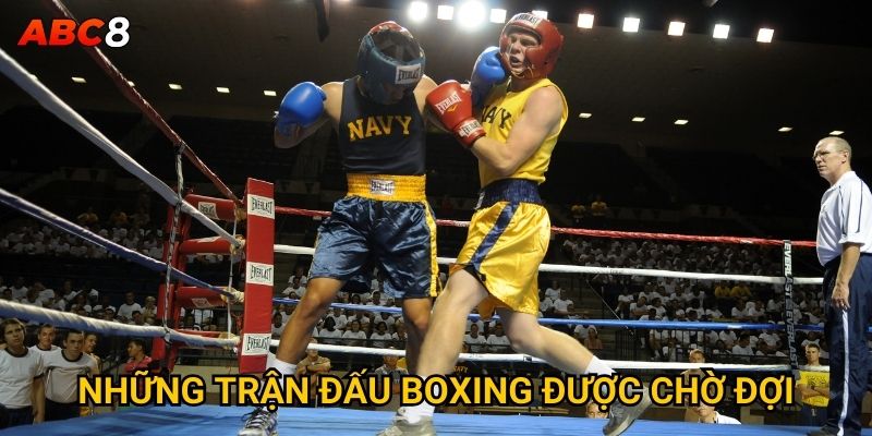 Cá cược boxing ACB8 mang lại cơ hội thắng lớn không? 3 Những trận đấu boxing được chờ đợi